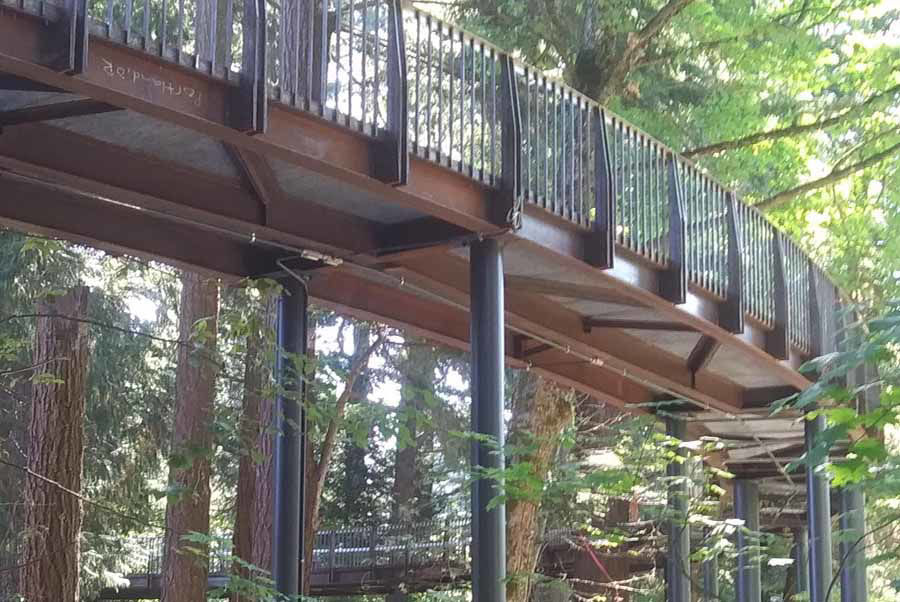 Curved Steel Aerial Tree Walk at Leach Botanical Gardens Creates Unique Architectural Feature